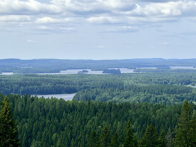 Finnish lakeland: spruce forest and lakes with wooded islands stretching to a blue horizon